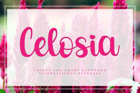 Celosia: Elevating Design with Elegant Typography