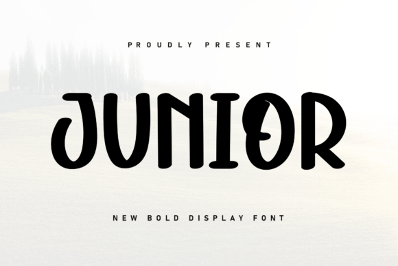 Discovering the Charm of the Junior Handwritten Font